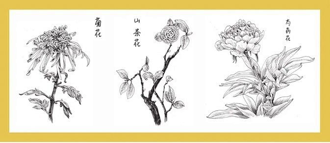春天了 快来画张简单又好看的花卉线描画 文具用品 什么值得买