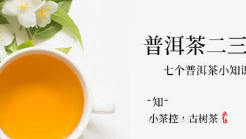 小茶控 篇二十九：生普是否可以转化成熟普？分享七个有关普洱茶的小知识 