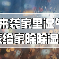 好物集 篇一百三十二：春雨来袭家里湿气重？除湿好物不能少