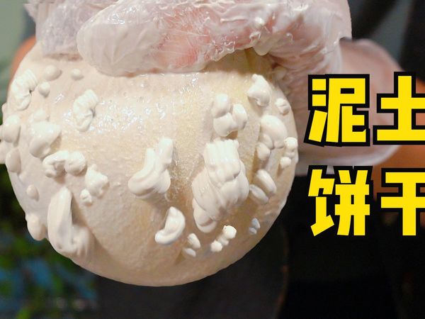 【视频】泥土也能做饼干？这才是真正的穷到吃土！