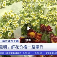 妇女节临近，鲜花涨价近4倍