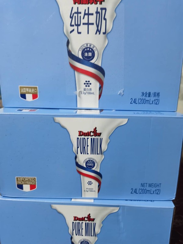 荷兰乳牛 乳制品图片