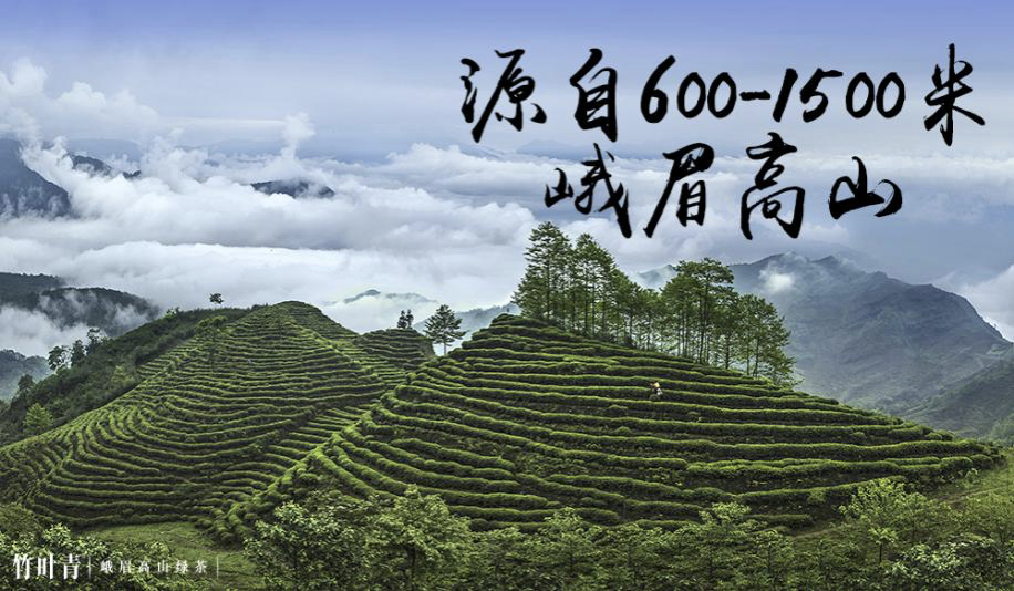 4000多年历史的茶行业，终于跑出了个世界品牌