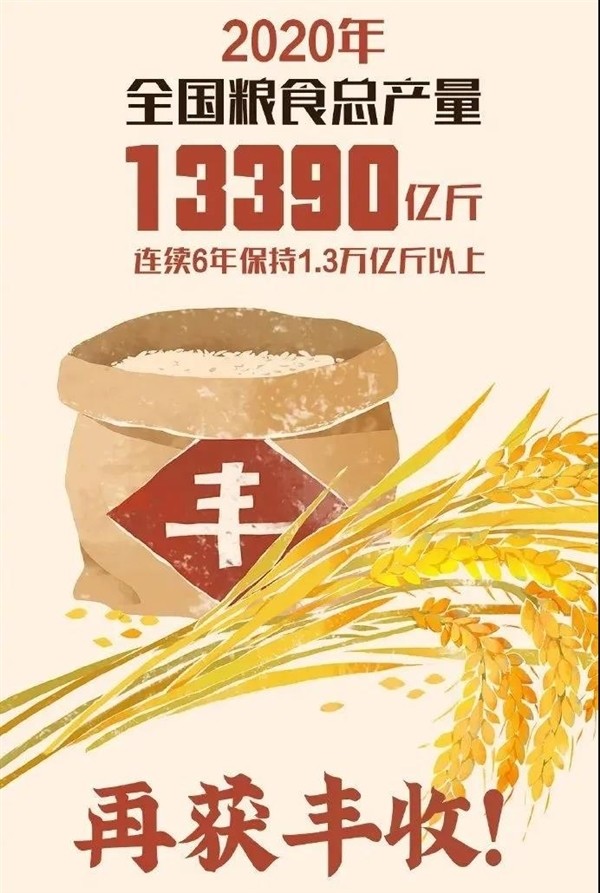 中国人均粮食占有量474公斤
