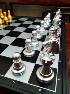儿子喜欢国际象棋！不过输了爱哭