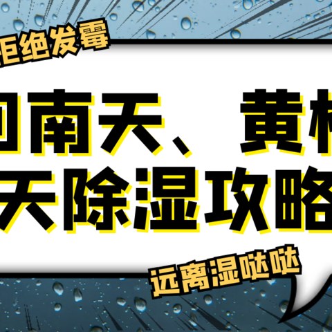 又是一年回南天，除湿、防潮必备好物大推荐！