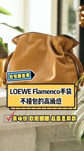 Loewe这只包，不火没天理