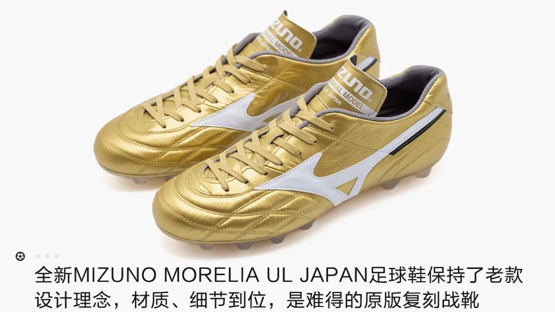 モレリア UL JAPAN in 25.5cm フットサルシューズ - サッカー/フットサル
