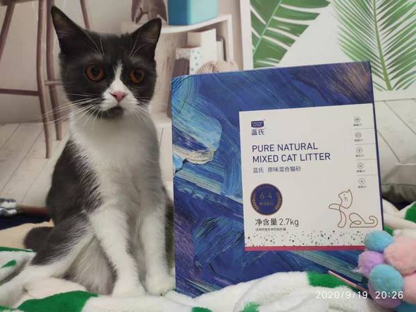 铲屎官推荐‖养猫必备之蓝氏混合豆腐猫砂