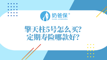 擎天柱5号怎么样？定期寿险哪款好？