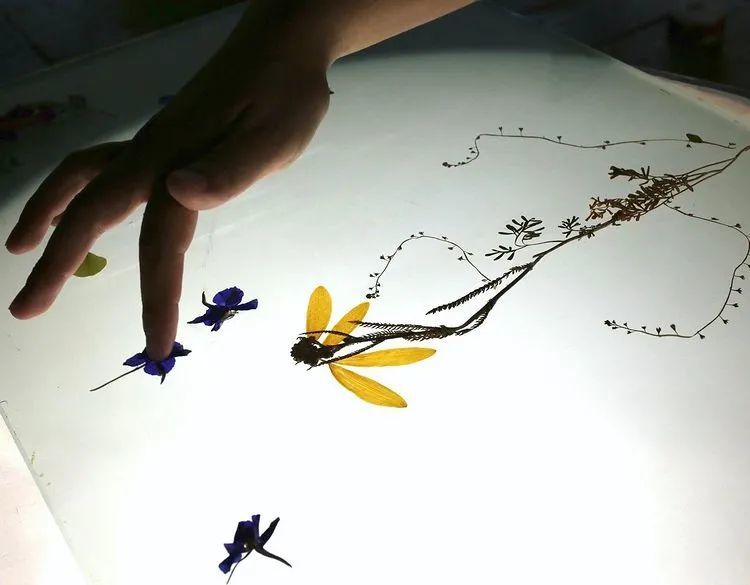 美哭！艺术家用海边捡来的垃圾玻璃收藏野花，背后藏着的竟然还是日本四百年的传统工艺？！