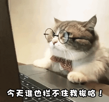 当90后变身韭零后