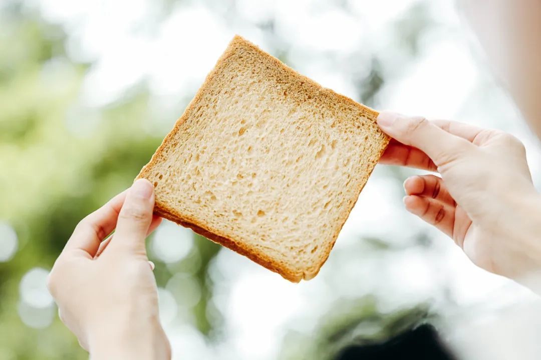 全家便利店「面包大测评」，哪款最值得买？