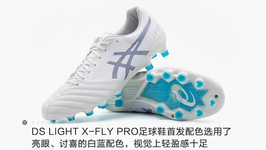 高級感 26 Pro X Fly Asics シューズ Sooke Pocketnews Ca