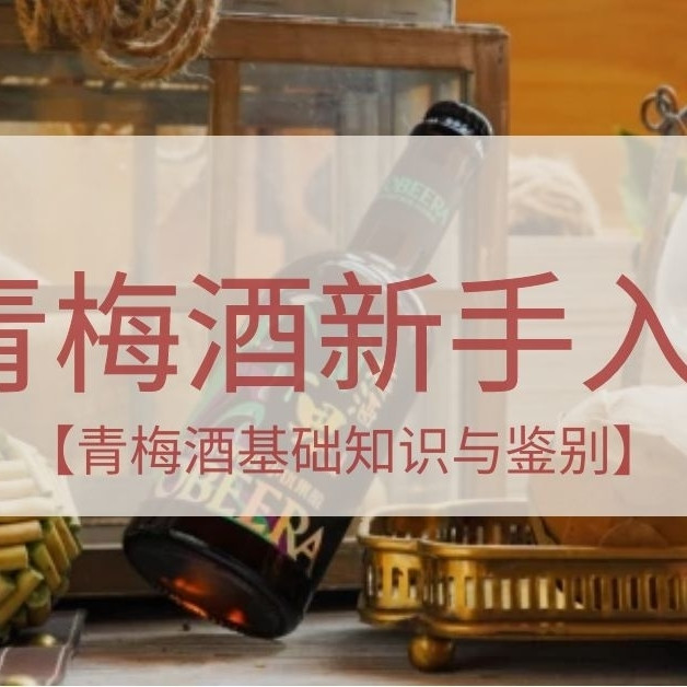 青梅酒新手入门！青梅酒基础知识与鉴别，自购青梅酒推荐！值得收藏！