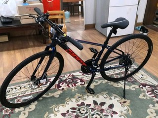 我的通勤工具-捷安特自行车