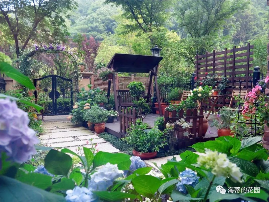 远离城市喧嚣，她在江南山脚打造50㎡花园，种满上百种植物