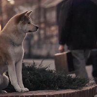 中国翻拍《忠犬八公》定档：冯小刚 陈冲主演