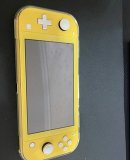 switch lite