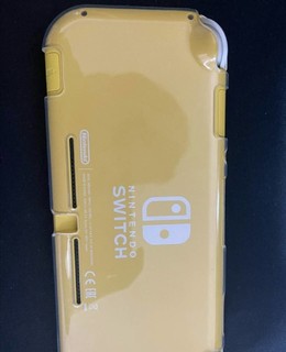 switch lite