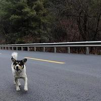 冬季骑行川藏线，步入极寒之地。（22）