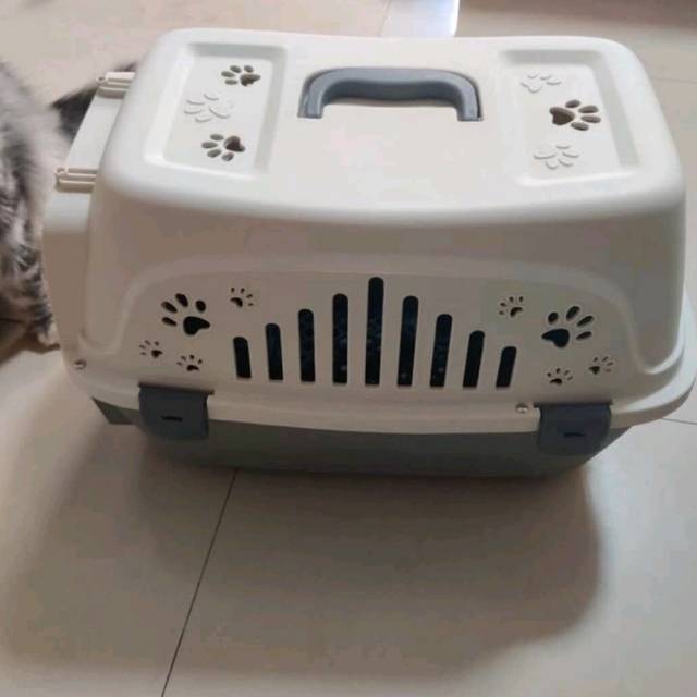 有这个太方便了