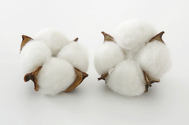 用了长绒棉质量怎么可能会差！5款精选长绒棉被，承包你四季的舒适睡眠～