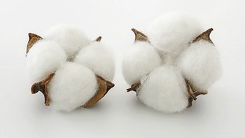 用了长绒棉质量怎么可能会差！5款精选长绒棉被，承包你四季的舒适睡眠～