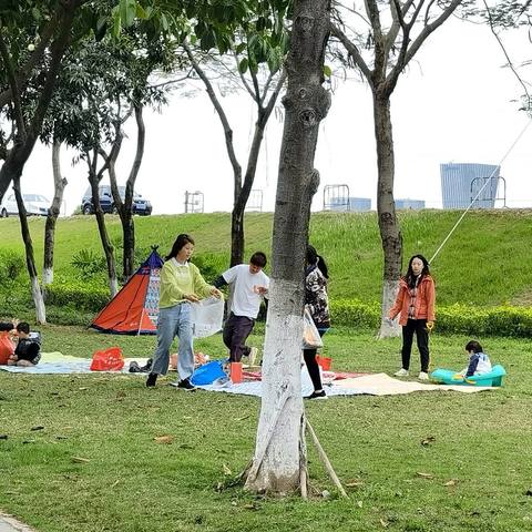 阳春三月，正是陪孩子踏青露营好时节