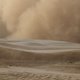蒙古国强沙尘暴致16万头牲畜死亡