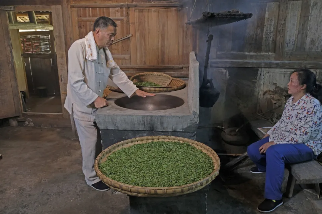 遇见非遗 | “千年贡茶”蒙山茶是怎样制成的？详解蒙山茶制作技艺