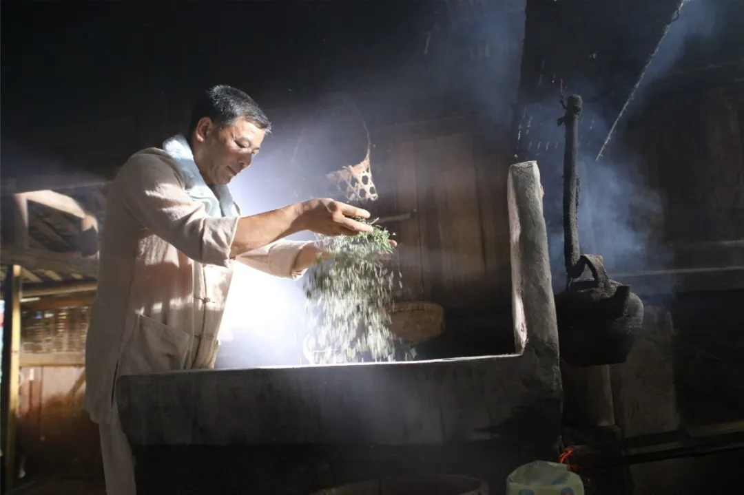 遇见非遗 | “千年贡茶”蒙山茶是怎样制成的？详解蒙山茶制作技艺