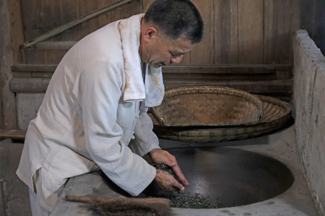 遇见非遗 | “千年贡茶”蒙山茶是怎样制成的？详解蒙山茶制作技艺