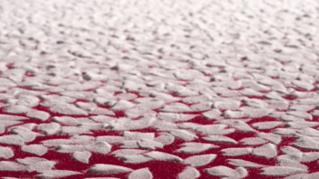 日本艺术家用盐画画，55个小时制作10万朵樱花，背后原因令人泪目