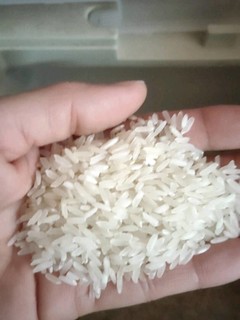 米饭，闻起来香喷喷的