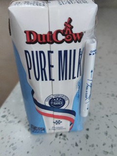 荷兰乳牛牛奶