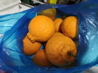 蒲江丑橘好吃！