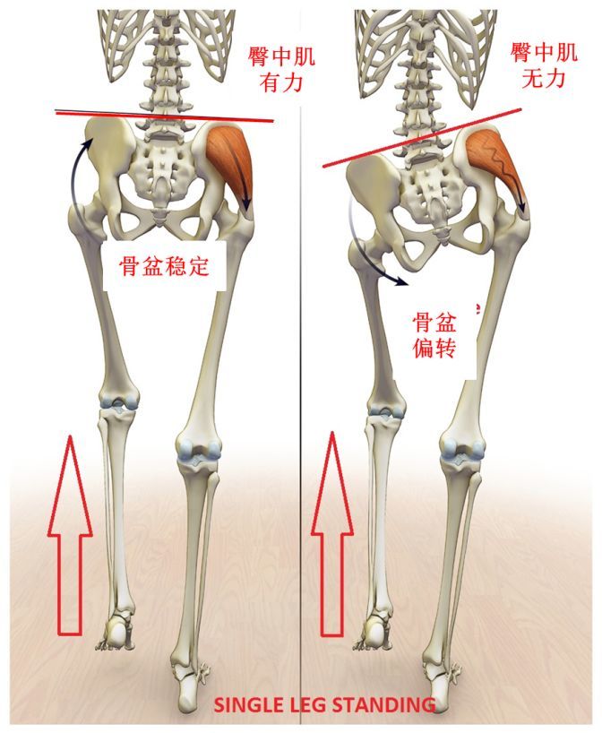 跑者如何强化力量：教你精细化练好这七个部位