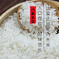 买了三百斤大米，吃出来的大米口感之王！8款19266稻花香大米横评