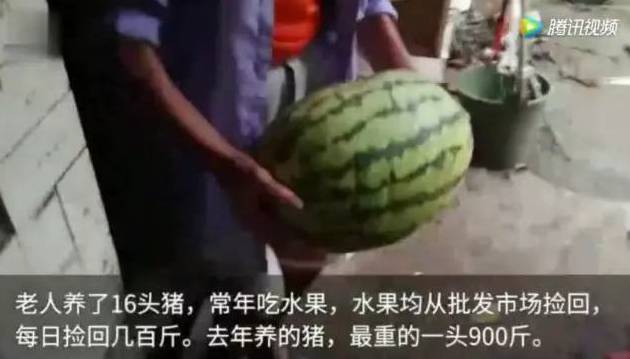 还在吃水果减肥？这 5 个减肥大坑你可能都踩过