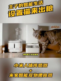 智能好物帮你全天候照看“毛孩子”