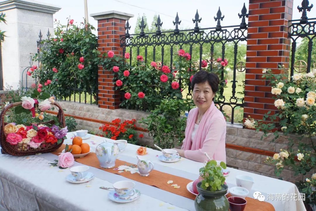 上海 60后姐姐退休后坚持追梦，用5年打造开满玫瑰的大花园