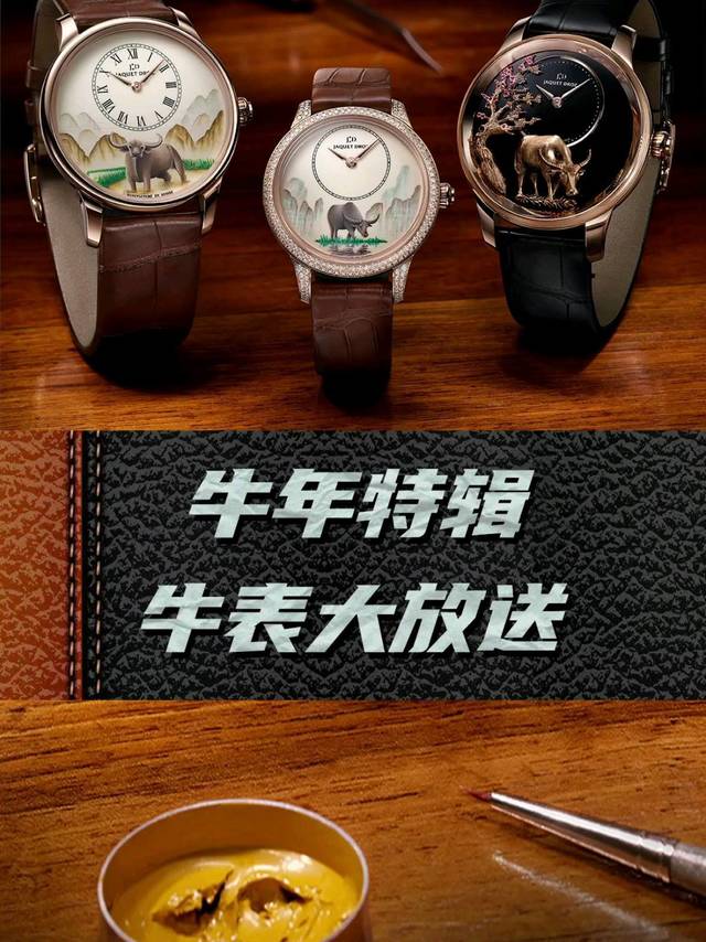 牛年特辑！牛表大放送