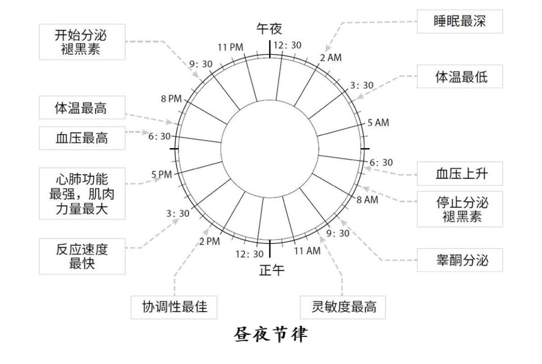 手机丢远点、微信拍一拍……让凌晨两点才睡的我做到了早睡早起