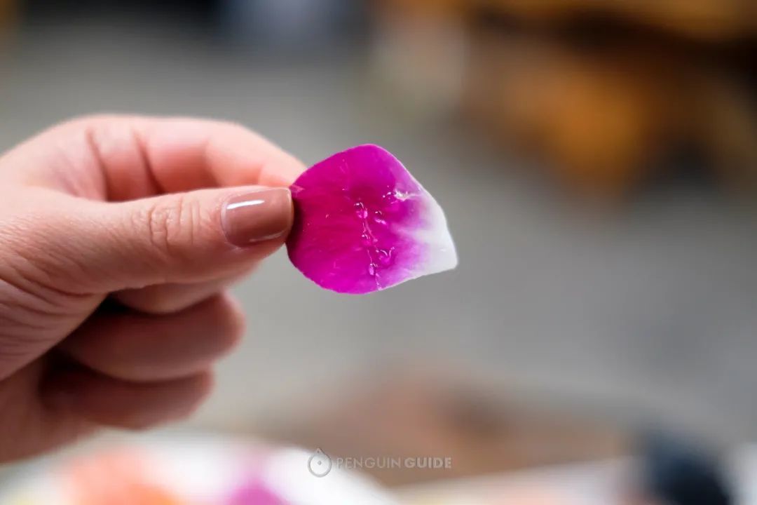 又到一年食花季，把这些鲜花摆上仙女的餐桌～