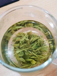 正是品绿茶好时候