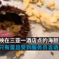 海胆蒸蛋只有蛋没有胆？三亚发布：本地海胆汁多肉少，未发现价格欺诈