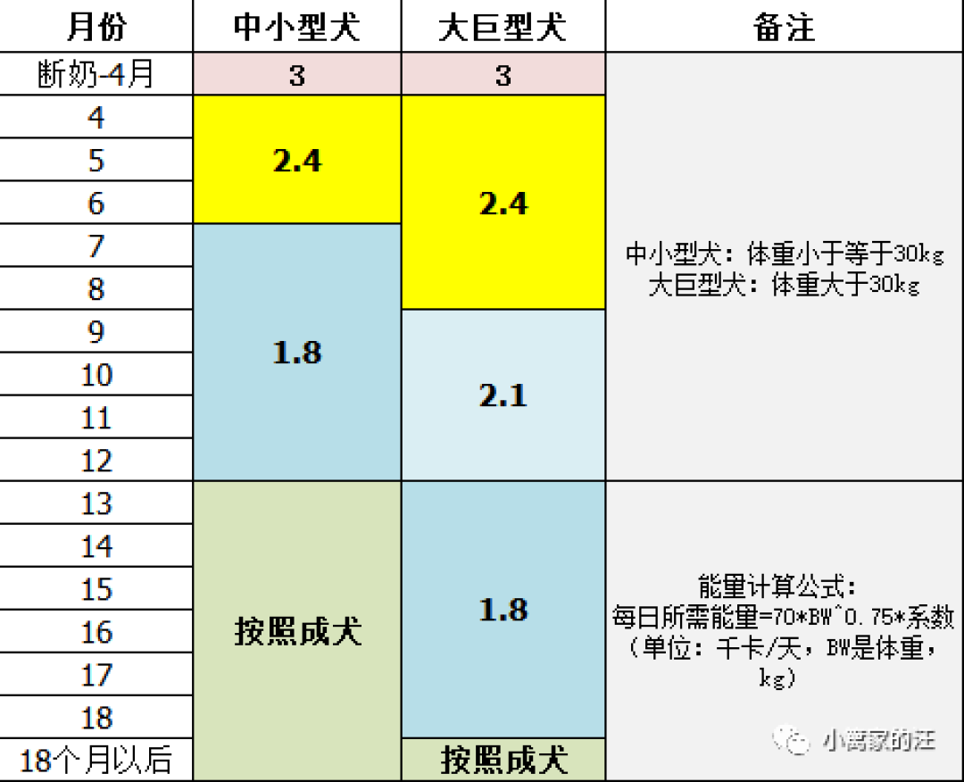 幼犬营养需求特点及熟自制建议 宠物营养 什么值得买