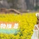 四月天，10件春季好物推荐，宅家出行两相宜哦~