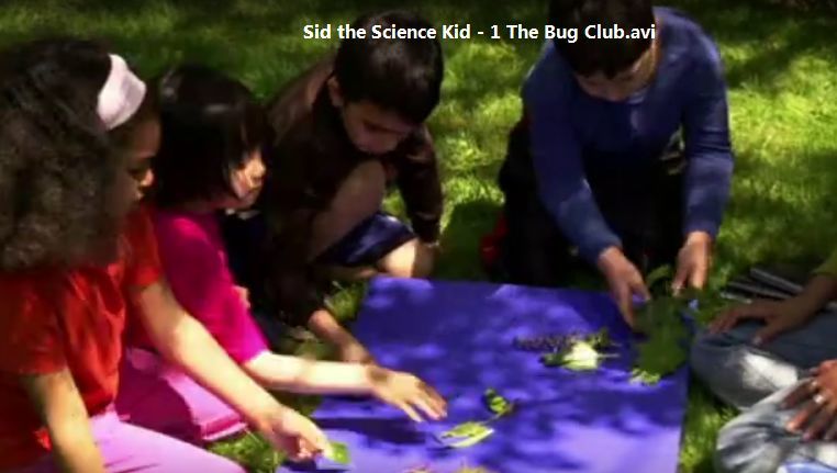 这个免费动画片，还原了美国小学的科学课堂，让娃像科学家一样思考